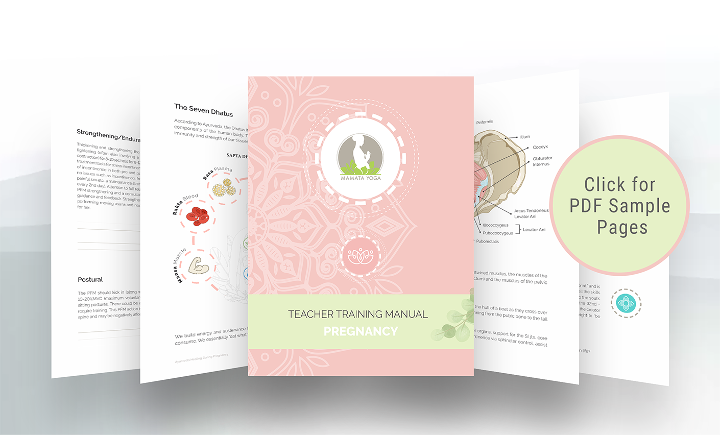 Portfolio Item