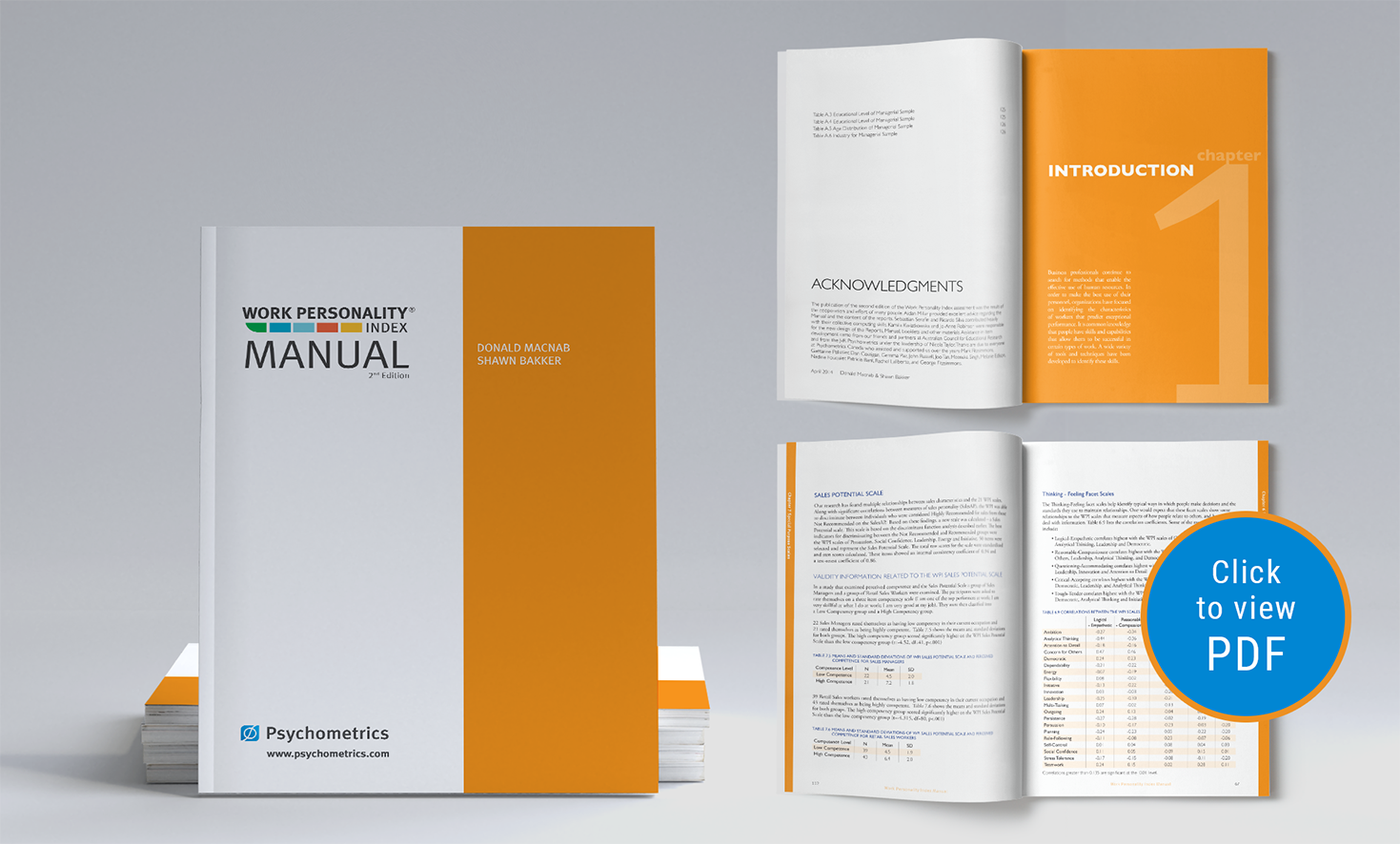 Portfolio Item
