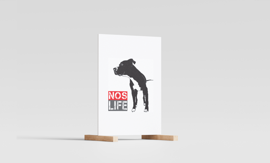 Portfolio Item
